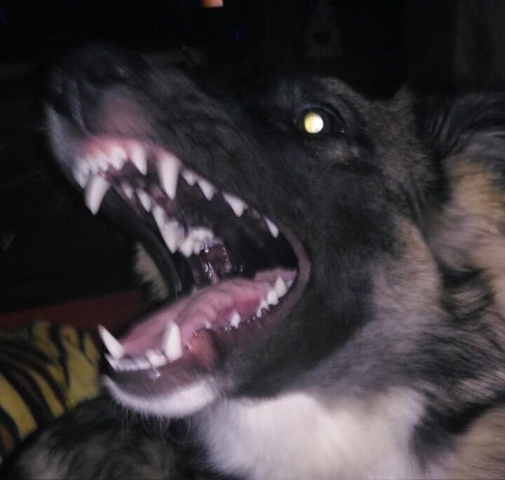 MUTTATIONS's tweet photo. face reveal https://t.co/iqj2PBlKyG