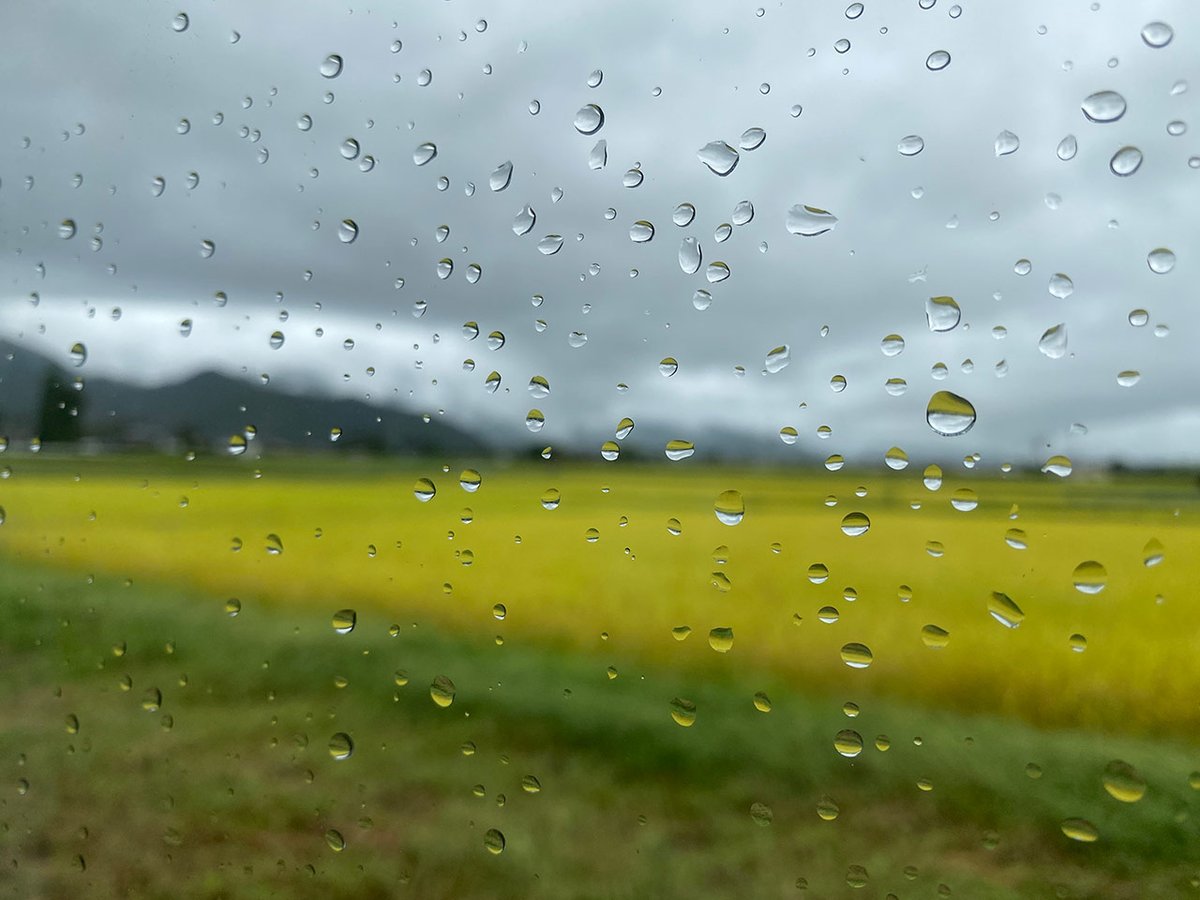 mac_the_machan's tweet photo. 今日も雨。昨日と同じように朝から点滴をしてもらっていました。
そんな雨の中をまた姉が来てくれました。
本当はこんな姿を見られたくなかったのに…
ベッドの横で私を心配そうに、点滴をしてない私の手を握ってくれました。
その手はとても温かくて、とても優しくて、とても心が安らぐ気がしました… https://t.co/dG0fx14OkV