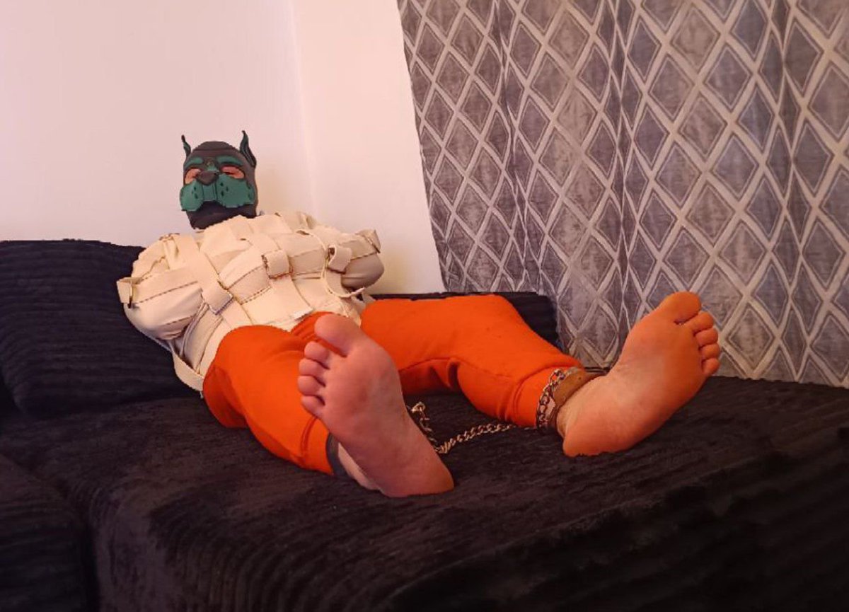 LordShepsworthy's tweet photo. Is this not the best way to dress for movie night?

How do you spend yours?
 
🍿 📽️ 😈 https://t.co/A4evqfl4HX