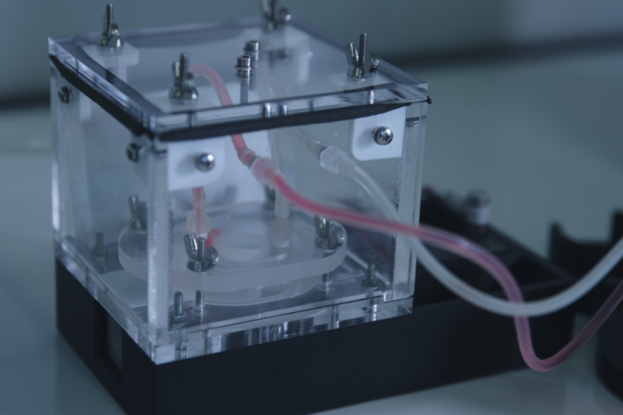 Unipisa's tweet photo. Un intestino artificiale che si muove come quello umano. Il nuovo bioreattore riproduce la peristalsi e garantisce la vitalità cellulare per almeno 28 giorni, permettendo di ridurre progressivamente i test sugli animali.
🔗 https://t.co/TaUAsFmKx7 https://t.co/HXmbejizxV