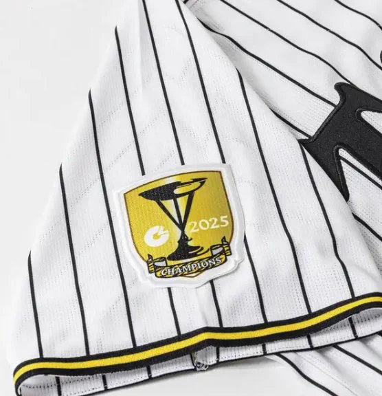 ゆち虎 в X: „#プロ野球 #阪神タイガース #NPB #JERA 2025年