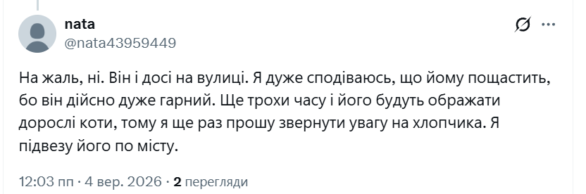 13Hellis_13's tweet photo. це ще котенятко ( не дорослий). Будь ласочка, Харков🙏💔 https://t.co/hrH3zg3thY
