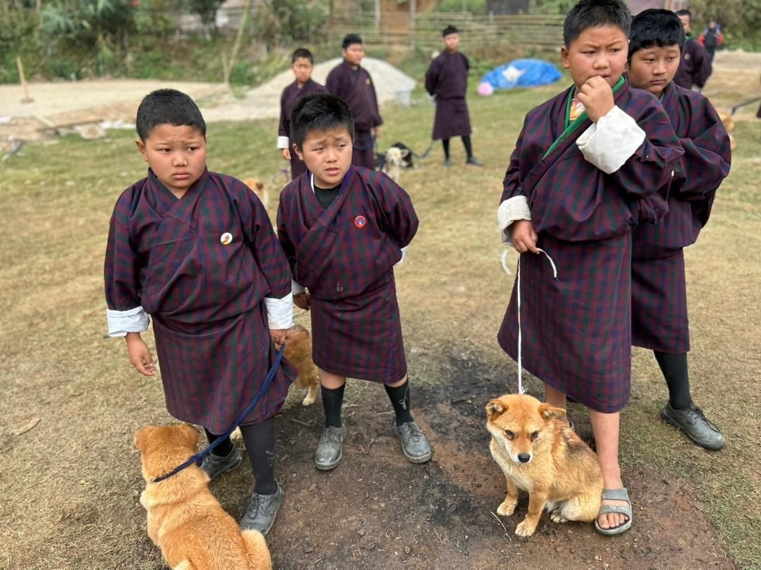 WHO's tweet photo. Public health win!
#Bhutan eliminates dog-transmitted #rabies as a public health problem.

It is the first country in the @WHOSEARO region to have achieved this validation https://t.co/uovZH0XLfX https://t.co/mDJnZS8S5A