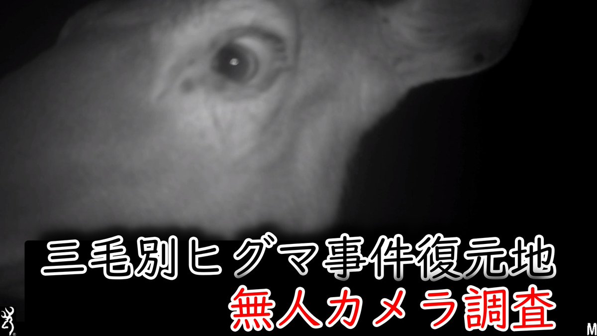 E_Kimoppe's tweet photo. 【クマは映るか？】三毛別ヒグマ事件復元地周辺の森にカメラを仕掛けたら・・・

動画リンク
https://t.co/DZgdMlZVUW

#クマ #鹿 #エゾシカ #野生動物 #ヒグマ ＃事件 https://t.co/zBjmABjMZw