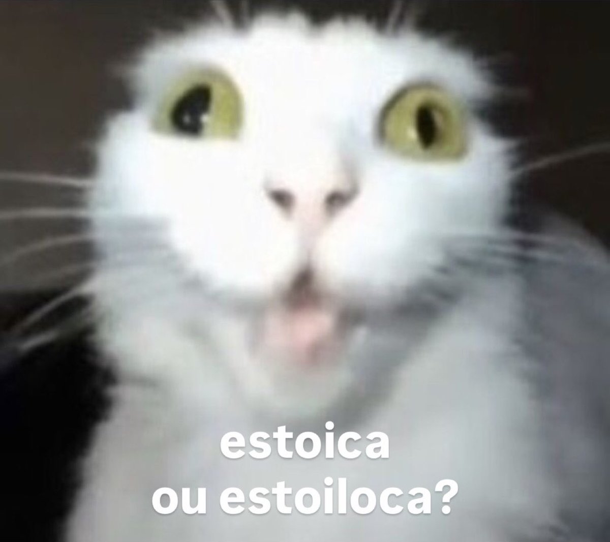 gatinarios's tweet photo. https://t.co/4ESY4wuOBh