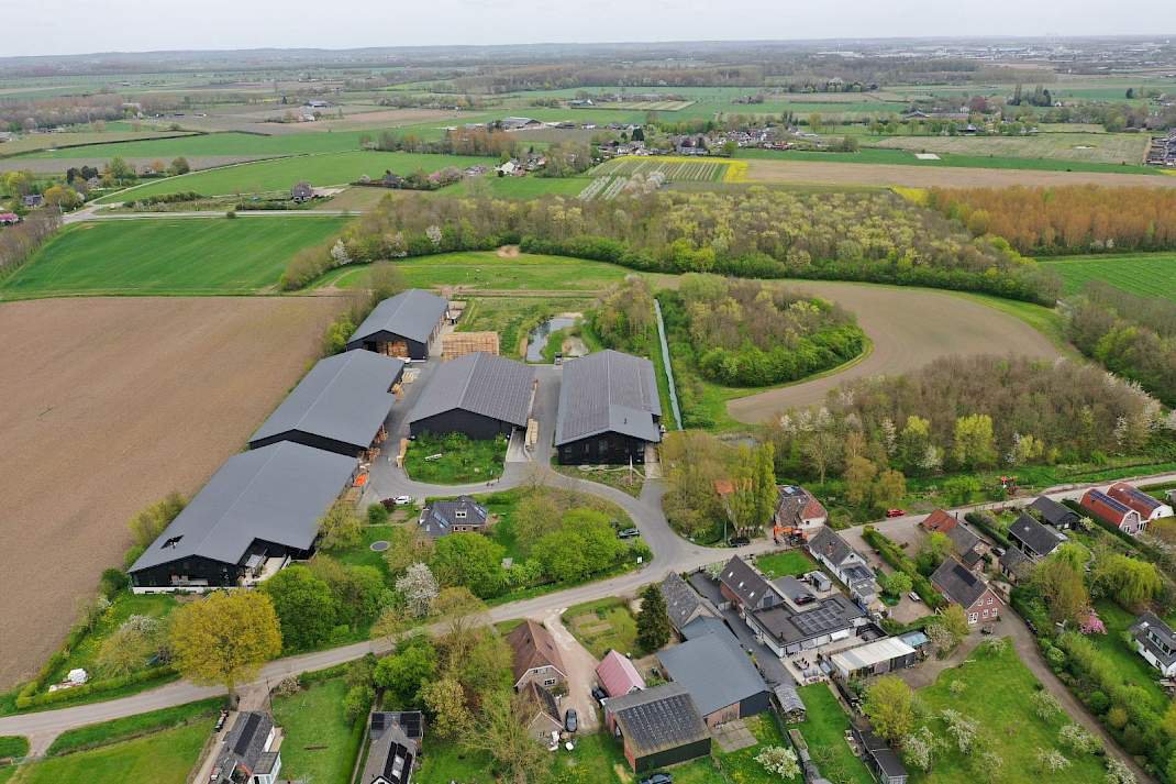 se_biologisch's tweet photo. Van handoogst naar vijf hectare per dag: De Terp zet stevig in op #innovatie in de #pompoenteelt. Met mechanische oogst én een nieuwe snijderij wil het bedrijf de hele keten slimmer organiseren. #biologisch
https://t.co/JTPVOFy2s6 https://t.co/FCmpLcqzOp