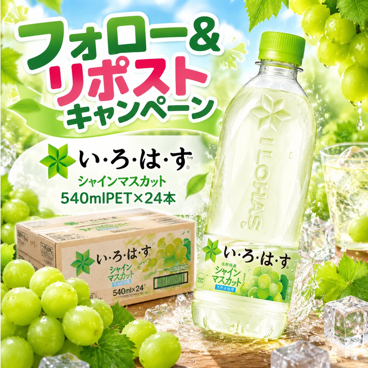 dadahug_'s tweet photo. ＼🍇フォロー＆リポストキャンペーン／

秋のフルーツ気分を先取り✨
爽やかなシャインマスカットの香り

コカ・コーラ
「い・ろ・は・す シャインマスカット
540mlPET×24本」🧊

参加方法♪
① @dadahug_ をフォロー
② 投稿をリポスト🔁
簡単2ステップで参加完了🎁

#プレゼント企画
#懸賞 #週末 https://t.co/DULKcbwSWO