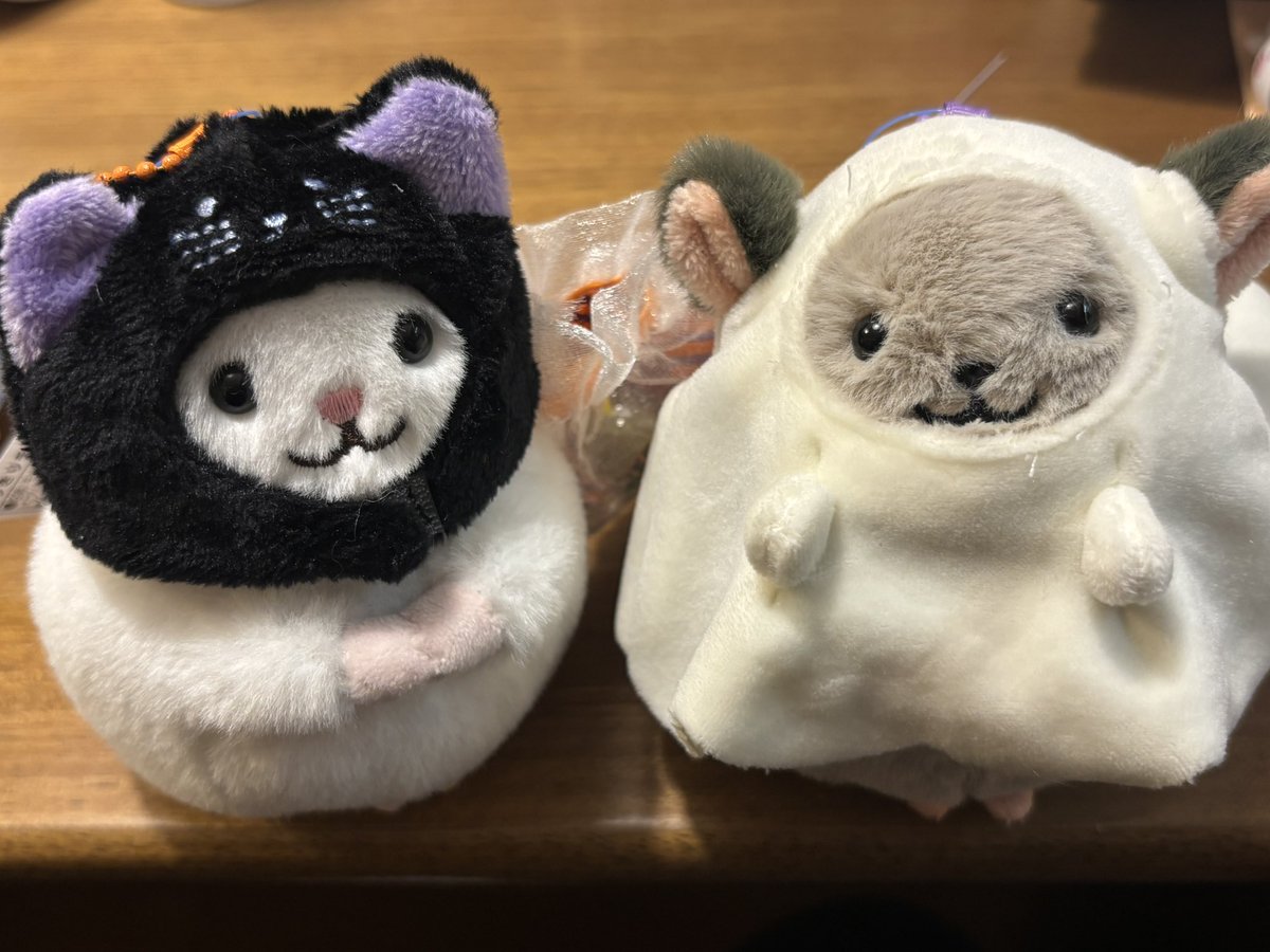 nahoyyy's tweet photo. カルディのチンチラちゃん✨
もう居ないと思ったけど、、
ダメ元で聞いてみたら、今日再入荷されたようで奥から持ってきてくれて買えた😍
可愛い〜💕

#カルディ https://t.co/ksY8X8QEz2