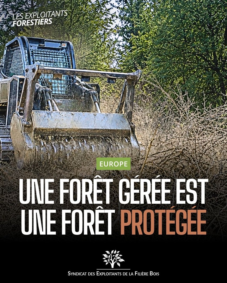 SEFBois's tweet photo. 🔥 Les feux de forêt au cœur de la rentrée européenne.
Plusieurs eurodéputés appellent à une gestion active des massifs et à des règles facilitant les travaux de prévention.
Une forêt entretenue est une forêt mieux protégée.
#Forêt #Prévention #SEFB https://t.co/Fmk9mbzoLu
