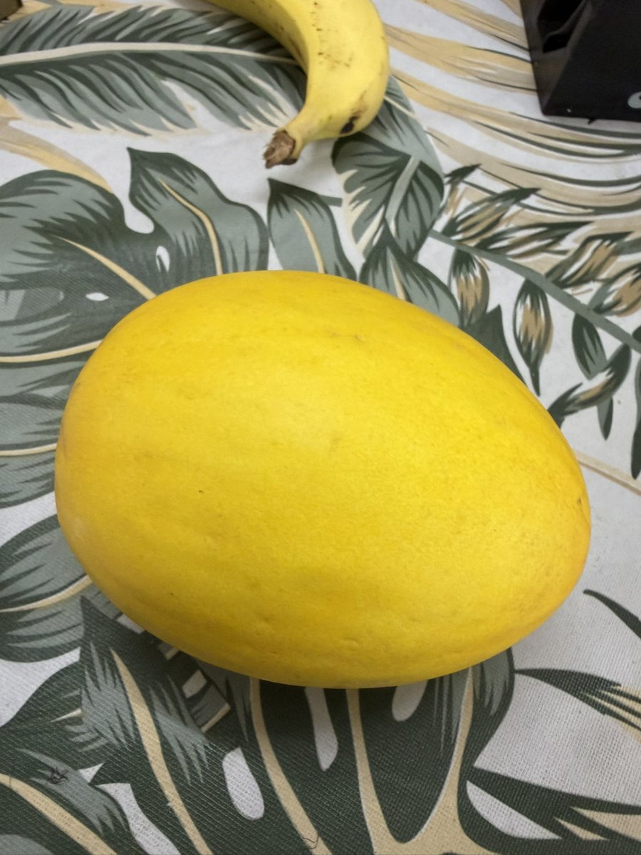 jemin_p's tweet photo. Dear @letsblinkit can you please tell me by which angle is this fruit papaya ??

Ur customer executive Faraz is not able to determine by pic … taking more than 12 mins to ascertain after denying the first time

Neither replace or refund, nor allowing me to message further … fruit is from ur store which delivers at charkop, Kandivali West 

cc @Tukaram_IndIAS