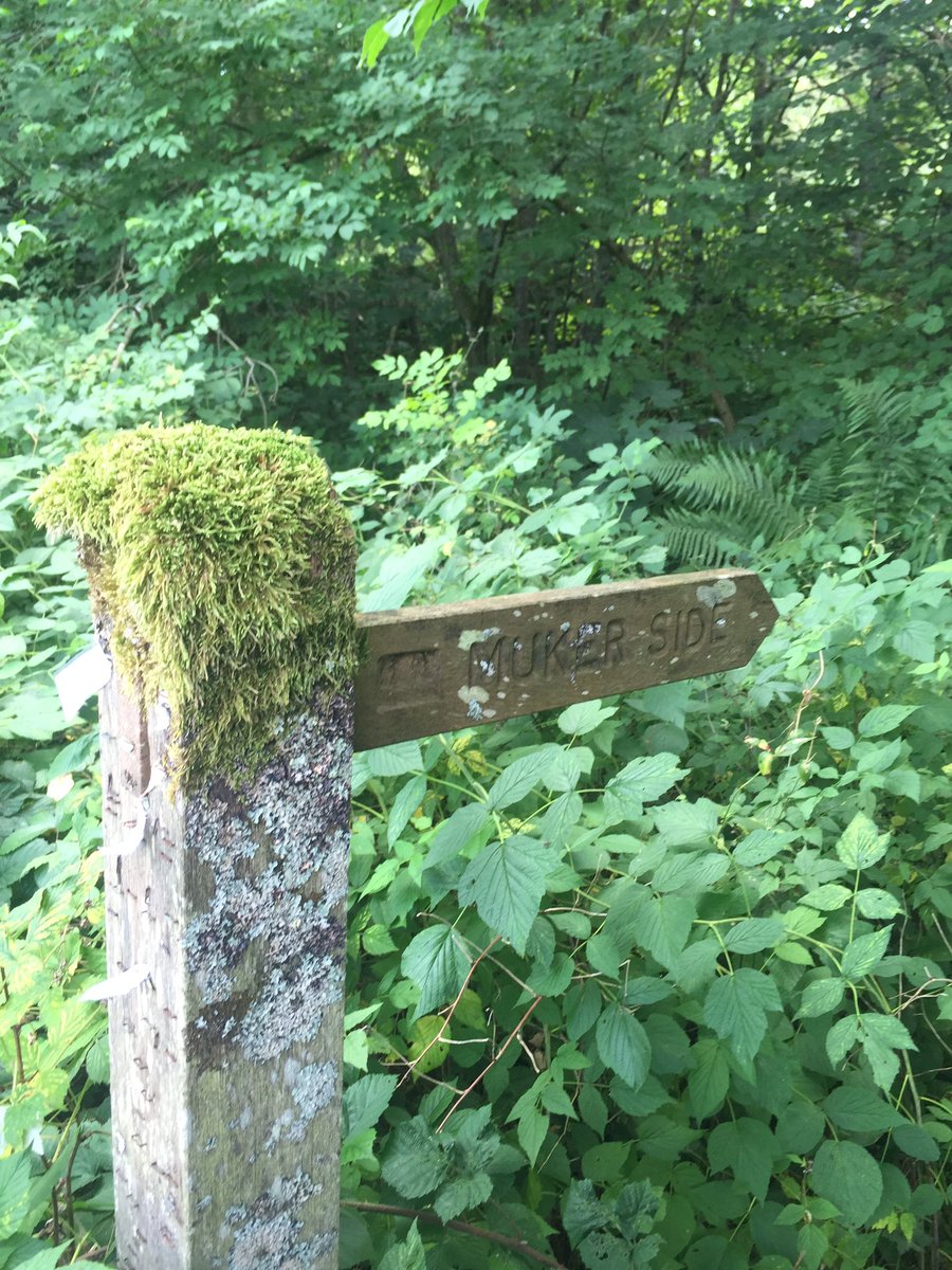 walksbooks's tweet photo. #fingerpostfriday https://t.co/FGXrBea4cb