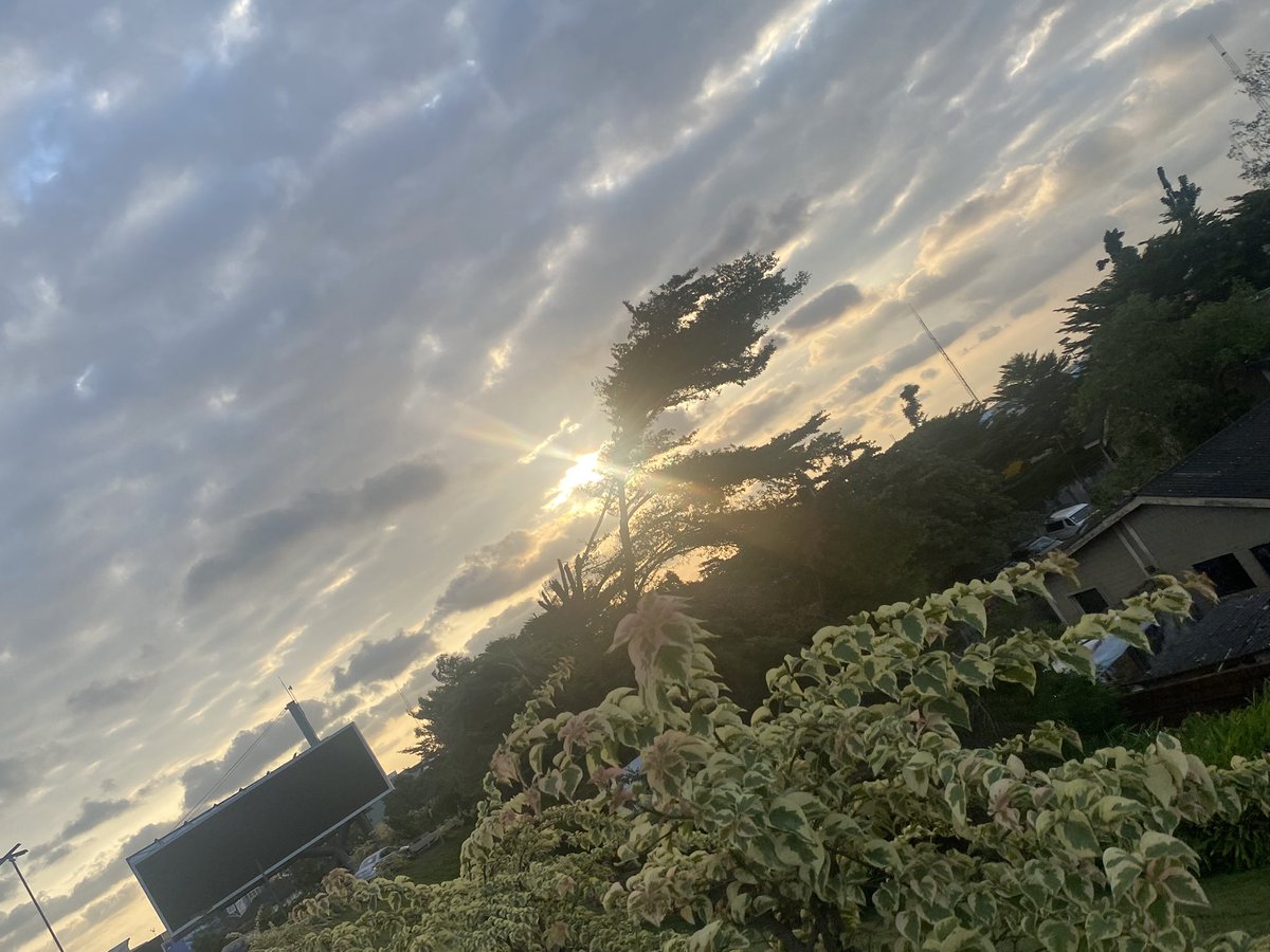 Achilsgc's tweet photo. Nature is beautiful ✨✨#Nature #Beautiful https://t.co/DgSq5RYjBO