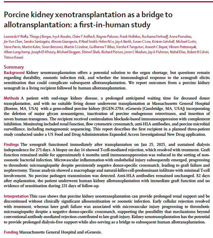 LVRiella's tweet photo. Our latest study, just published in @TheLancet, reports the first successful transition from porcine kidney #xenotransplantation to human kidney transplantation. 
A genetically engineered pig kidney provided >9 months (271 days) of dialysis-free kidney function before successful human transplantation, supporting xenotransplantation as a potential bridge while preserving future transplant options.
Beyond the clinical milestone, the study provides new insights into late microvascular inflammation and innate immune activation that will help shape future immunosuppressive strategies and donor genetic engineering. 

Link to article: https://t.co/RCZFq2w5vD 
@mgh_transplant @MGHSurgery @MGBResearchNews @MGBKidneys @eGenesisBio