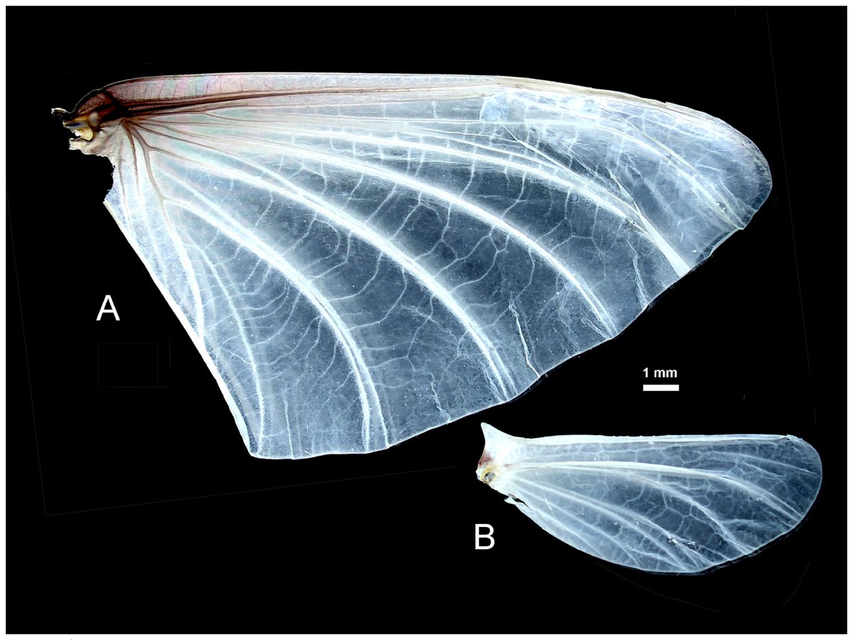 BioDataJournal tweet picture