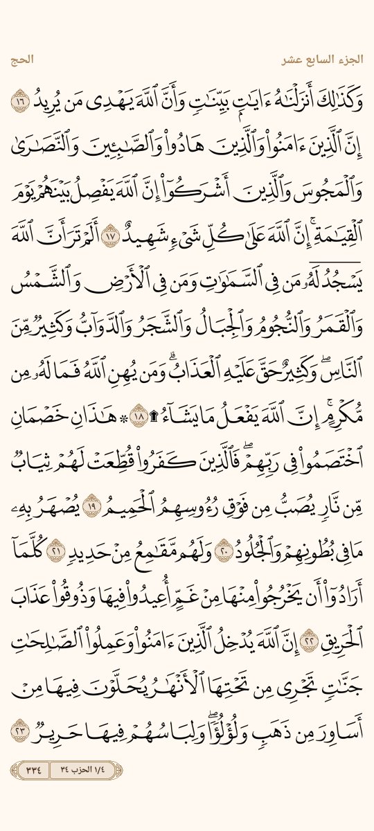 AlMosahf's tweet photo. ورد السبت https://t.co/yYpTQ6bYga