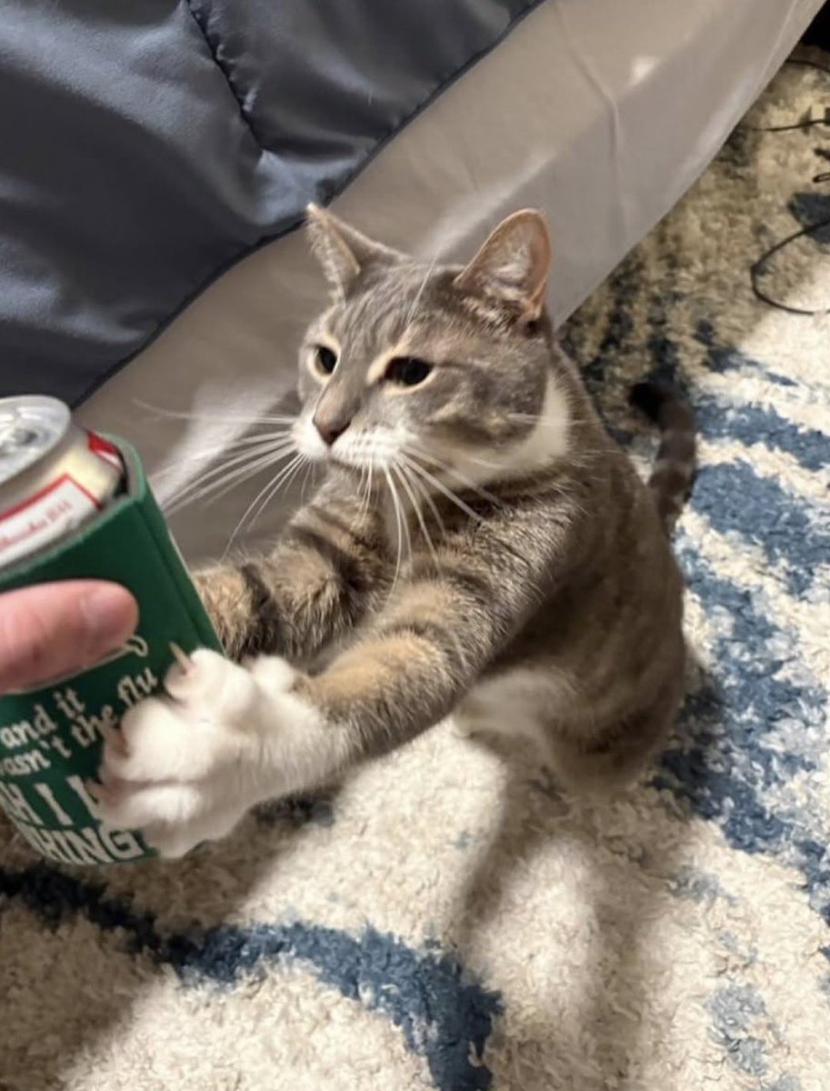 ham_delt1's tweet photo. Letting him have a beer #TGIF https://t.co/O5DDw0Gpvz