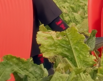 julya_queen's tweet photo. IL A DES HOMARDS SUR SES CHAUSSETTES CE FDP NOUS TROLL https://t.co/x4T1EQIEXz