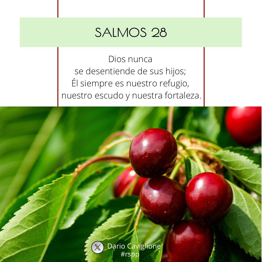 caviglionedario's tweet photo. Hoy leemos Salmos 28.
#rpsp
#PrimeroDios
#ReavivadosPorSuPalabra https://t.co/LRza4NSuwo