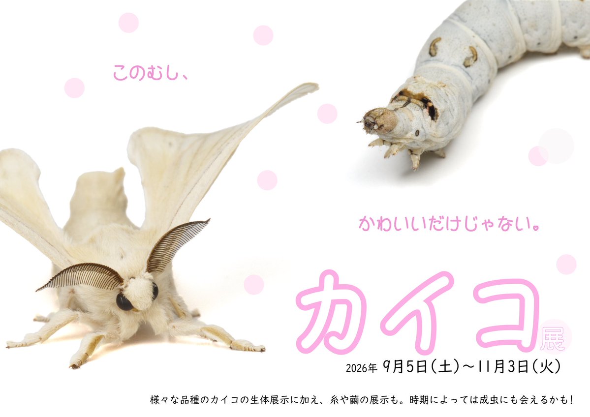 _ryukon's tweet photo. 明日からはついにカイコ展！

皆様のご来園、お待ちしております！ https://t.co/dQ9eC4w2DP