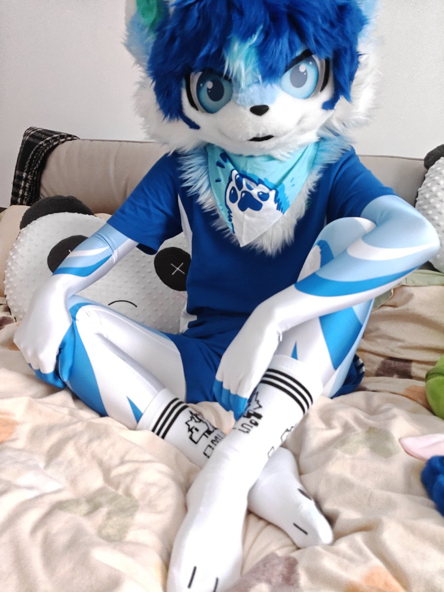 Mu_Song_Pine's tweet photo. #zentai #furry https://t.co/xwlGrsr7uq
