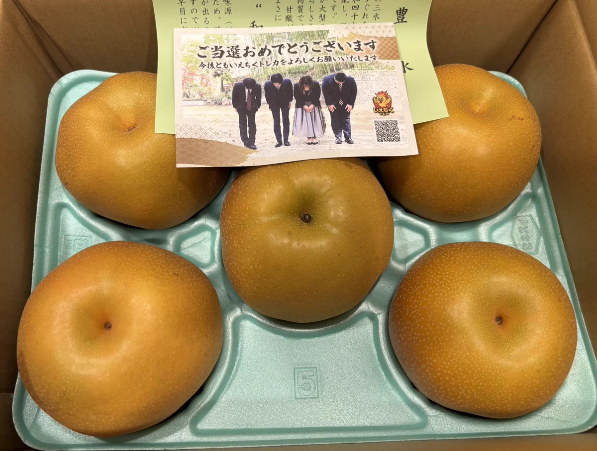 Reposts by いえちくトレカ@最大99%OFFクーポン配布中