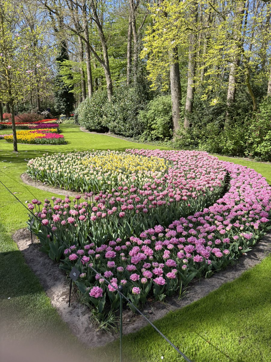 researchrobin1's tweet photo. Happy Friday!! Another weekend is in bloom! If you have any research questions/projects please text me at 508-768-8913 or email me at robinpetrucciresearch@gmail.com and I will help you find sources. I also help with editing/grants. #research #tgif https://t.co/CQadd7aVyw