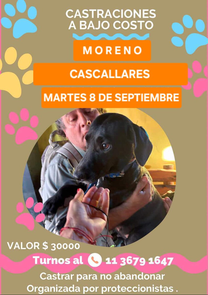 protegealanimal's tweet photo. MORENO
#MORENO #SANJORGE #MARILÓ #JARDINES1 #CASCALLARES #SAMBRIZZI #ELCAÑÓN #LASFLORES #PASODELREY #BONGIOVANNI #TRUJUI #BARRIO4VIENTOS #MALAVER2 #CUARTELV #LAREJA #VILLASALAS #VILLAZAPIOLA #25DEMAYO #LAVICTORIA #MIBARRIO #FRANCISCOÁLVAREZ #ZONAOESTE #GRANBSAS #BSAS #CONURBANO https://t.co/Jq9XWjjxye