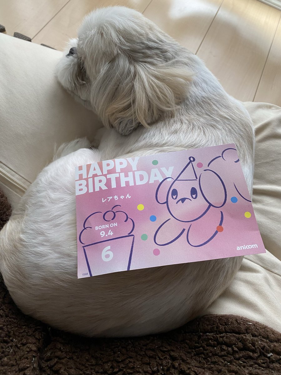 anorea0924's tweet photo. れあちゃん6歳！！🎂
あっという間に6歳🥹週末にケーキ食べようね🥹 https://t.co/15KFEb9wR7