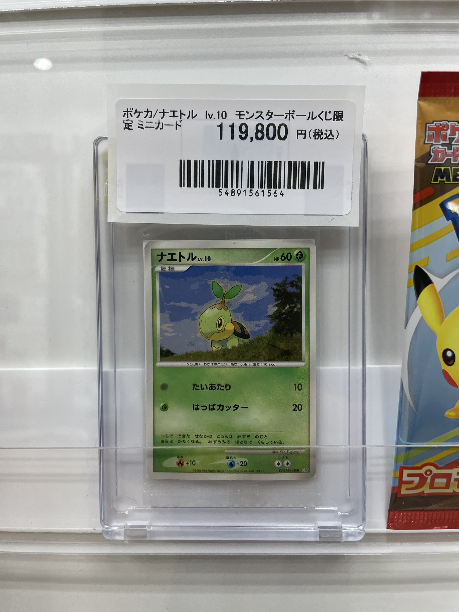 せんがわトレカDAICHU（ポケモンカードジム） on X: 