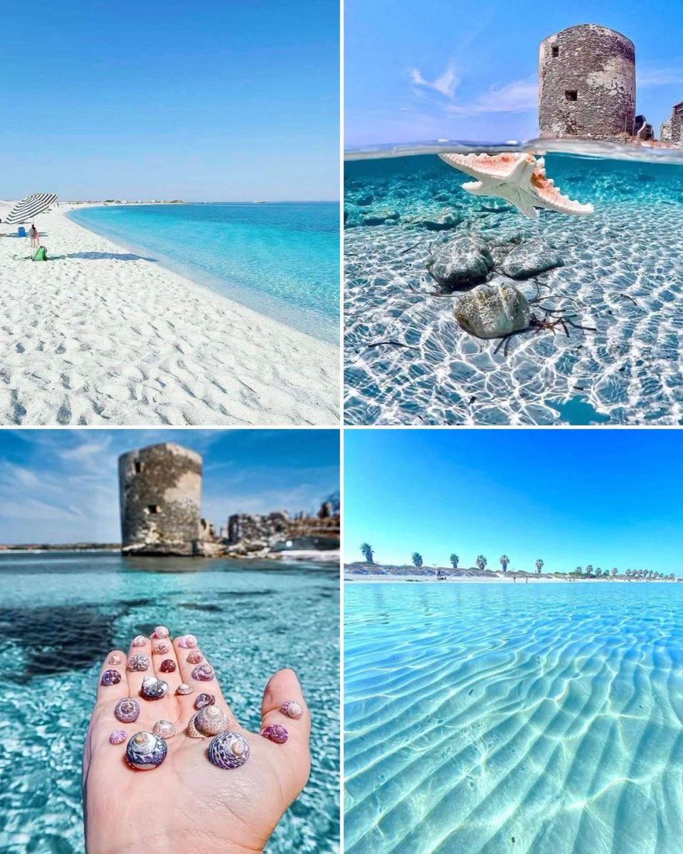 MozartCultures's tweet photo. This Italian island has the bluest waters in the World 💙 💙 https://t.co/cggR466yZE