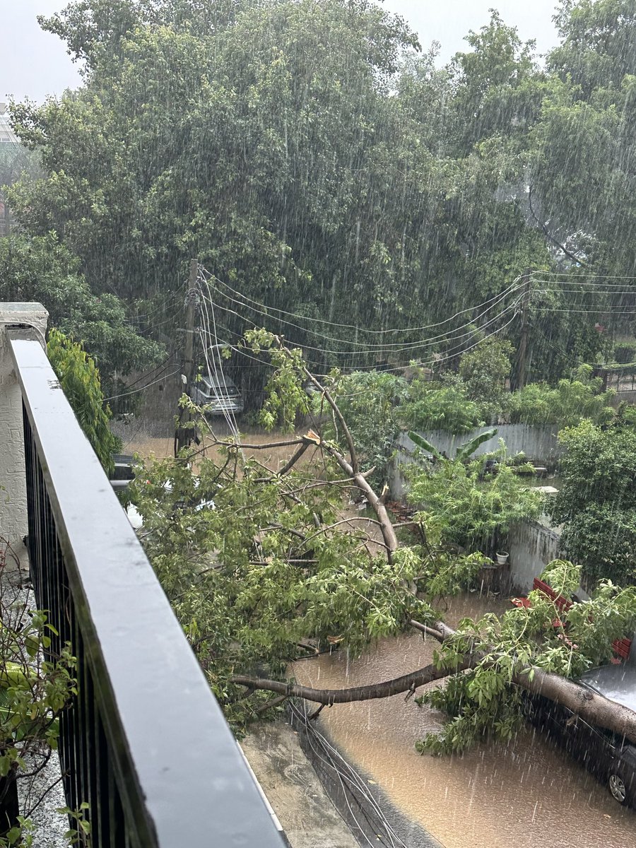 KamraAkarshit's tweet photo. ‼️URGENT-Sector 40, Gurugram

Heavy rain has caused a tree to fall on electricity lines. Two poles have fallen into the flooded/clogged water, creating a serious electrocution risk. Two cars are damaged. ⚠️ Please DO NOT restore power until the area is safe.

Urgent help needed. https://t.co/pBpVQBDnp8