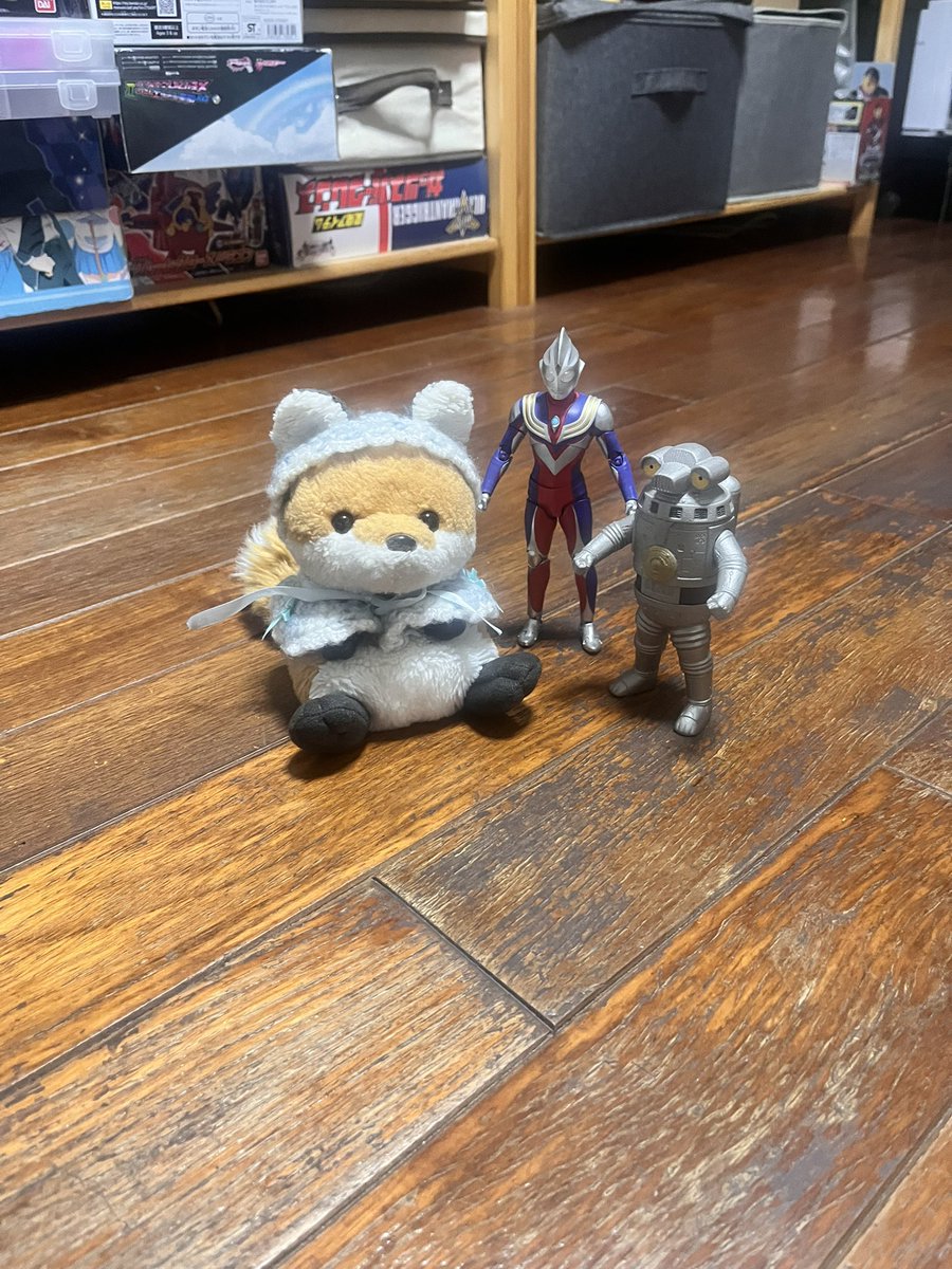 sippomofmof's tweet photo. なんか、ぽて、友達できた? https://t.co/poMVPdBM1e