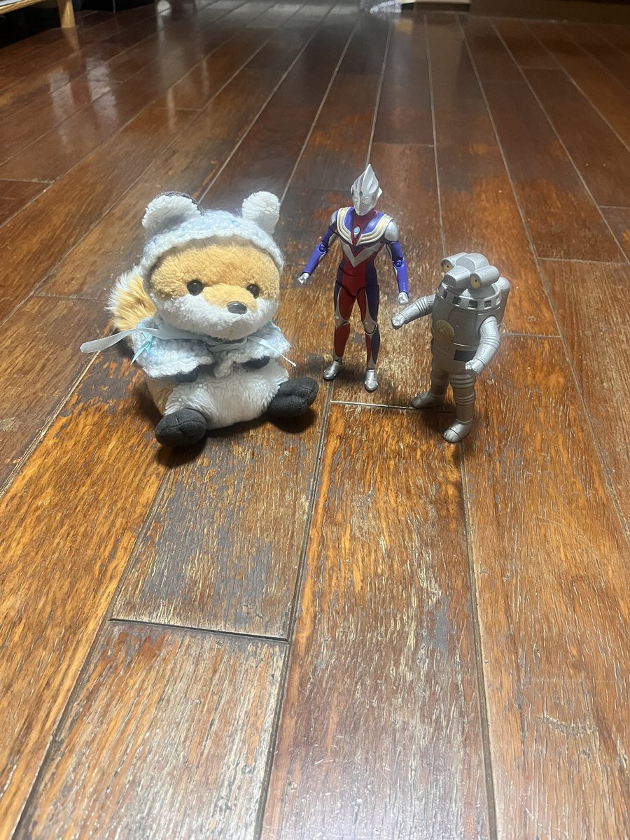 sippomofmof's tweet photo. なんか、ぽて、友達できた? https://t.co/poMVPdBM1e