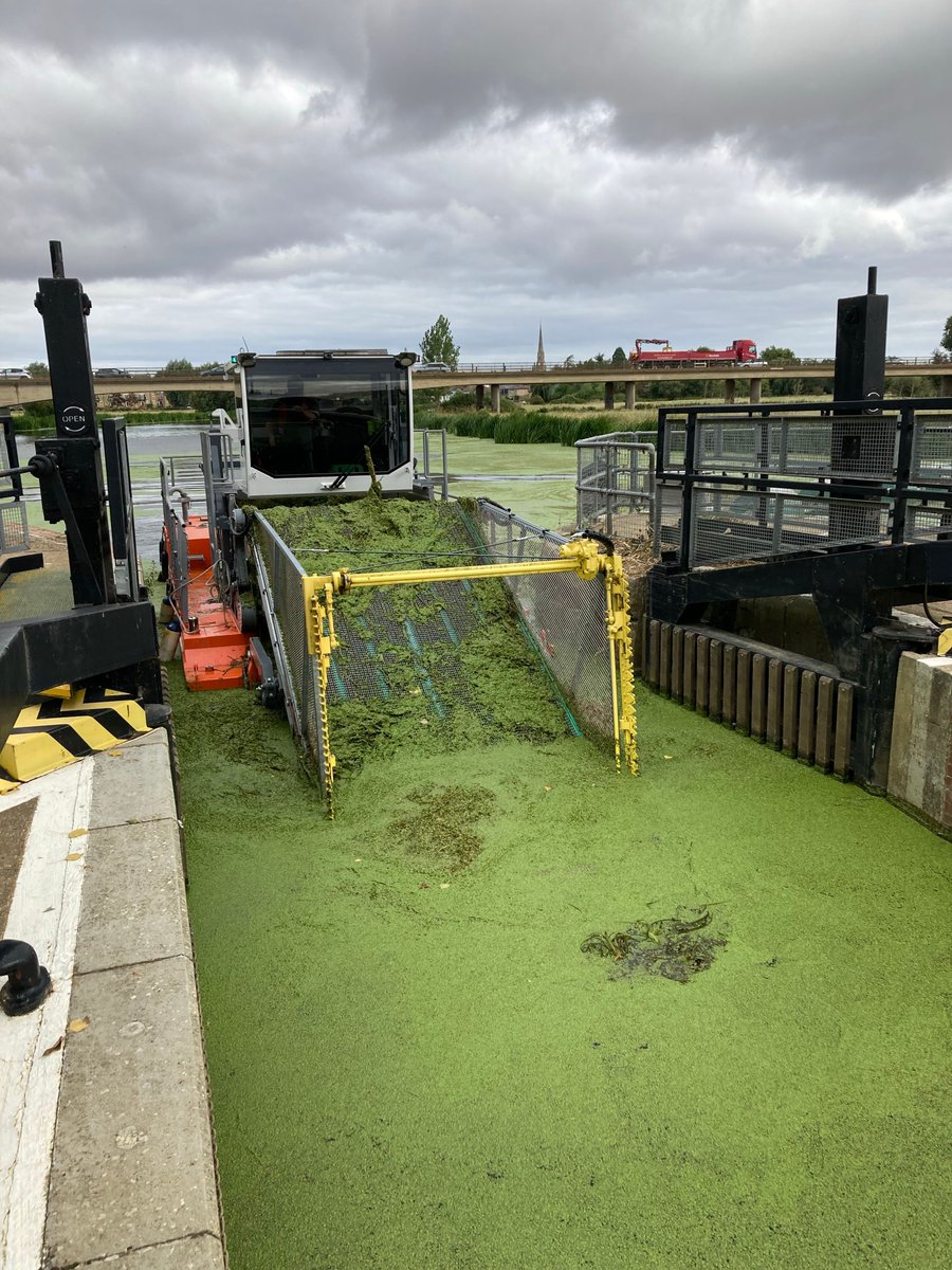 Ang_WaterwaysEA's tweet photo. (2/3) #StIvesLock on the #RiverGreatOuse, part of @EnvironmentAgency #AnglianWaterways has now been cleared of duckweed using our harvester as this before & after photo of the lock demonstrates. Should make navigation through the area more pleasurable & easier. >>> Contined >>> https://t.co/j8PJWMqUrS