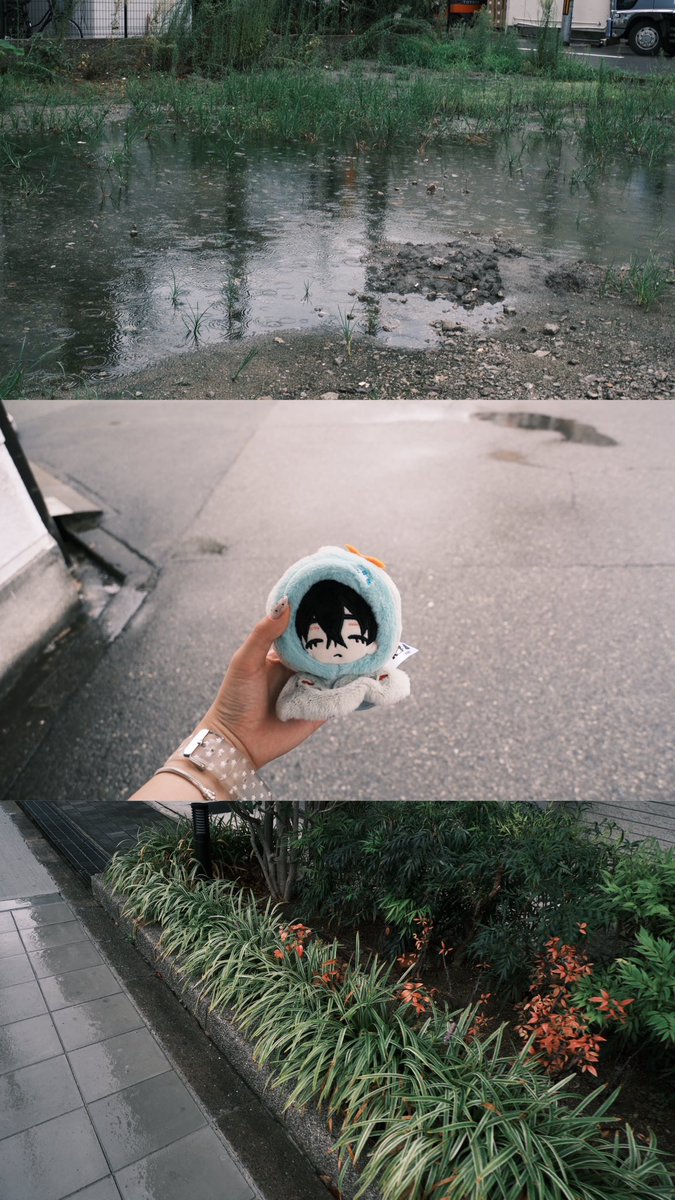 mrpppjn's tweet photo. 今日の記録🎶📸☔️てるてる坊主いばくん🩶 https://t.co/JNBIn5Qlif