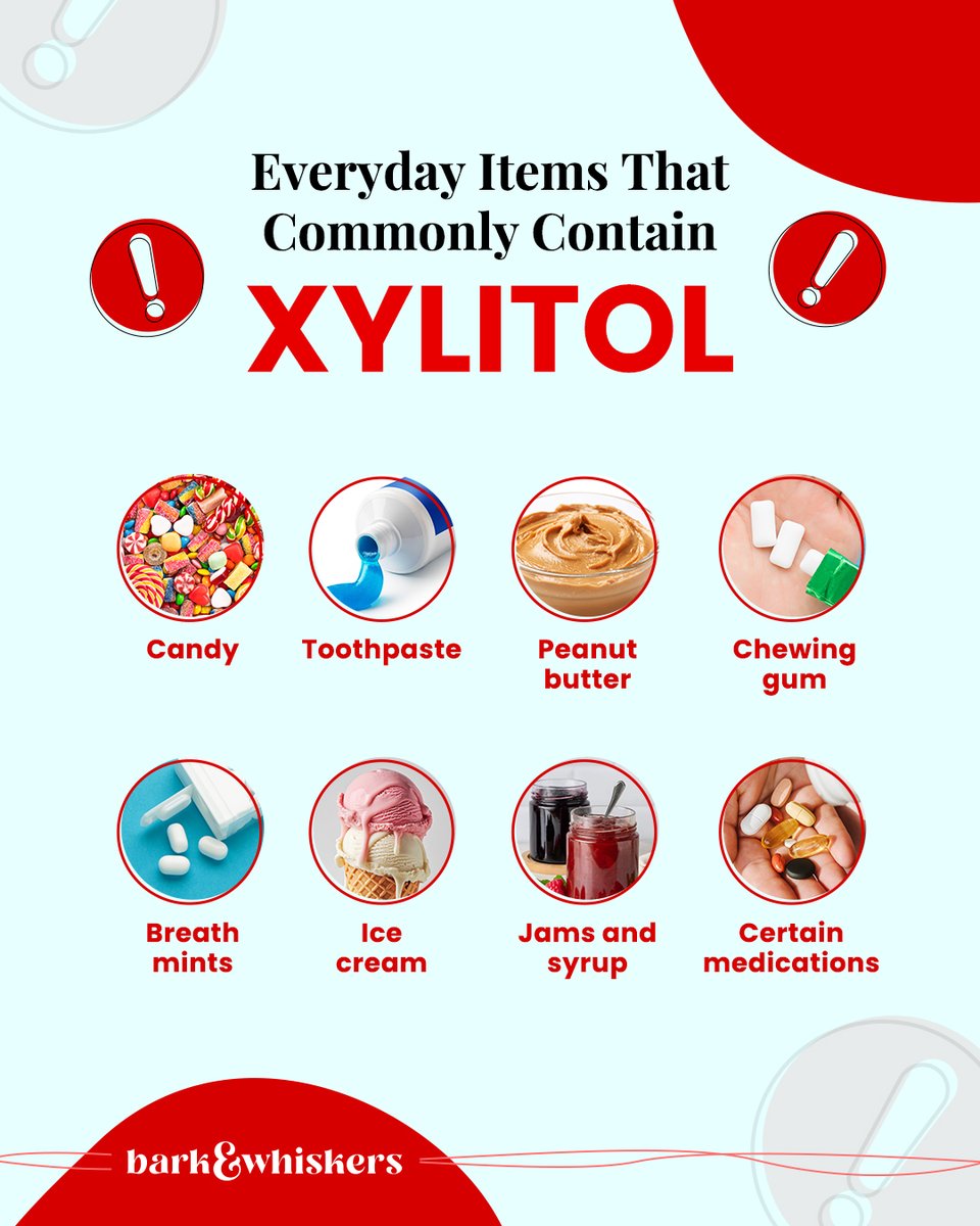bark_whiskers's tweet photo. This sugar substitute has quickly risen to become the 2nd most common pet poison today. 🚨🐶🐱 Find more everyday products that could be hiding xylitol here: https://t.co/dbkM0eiDse https://t.co/5S2aecuB3D