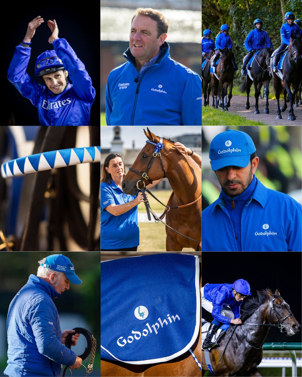 godolphin's tweet photo. 🇬🇧 Can you guess our favourite colour?💙 https://t.co/dV62rlqXdg