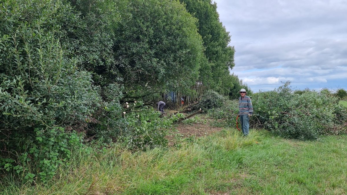 LDV_NNR's tweet photo. Another great day in the #LDV with our incredible team of volunteers, once again hard at work tackling scrub &amp; finishing clearing out an old pond (now ready for improvement) – nice to see another Clouded Yellow at Bank Island beforehand &amp; a Bordered Straw in the moth trap 🦋 https://t.co/O5CtlFN0bB