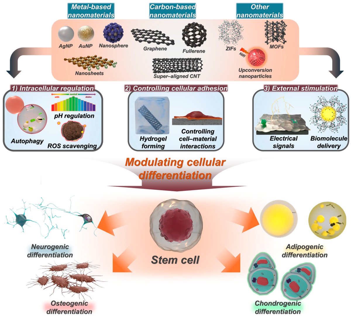Biosensors_MDPI's tweet photo. 📣Call for Reading:

#Review

Recent Advances in #Nanomaterials for Modulation of #Stem #Cell Differentiation and Its #Therapeutic Applications
 
By Kim, T.-H.. et al.
 
https://t.co/PXTiucHGqs
 
#Biosensor #OpenAccess #Biosensing #Intracellular #Cellular #Adhesion #StemCell https://t.co/gVLGde5Esw