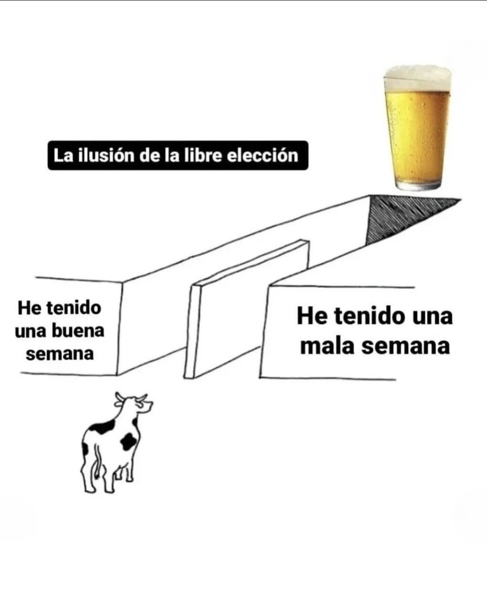 wikipistacho's tweet photo. https://t.co/ZDubxgnx8x