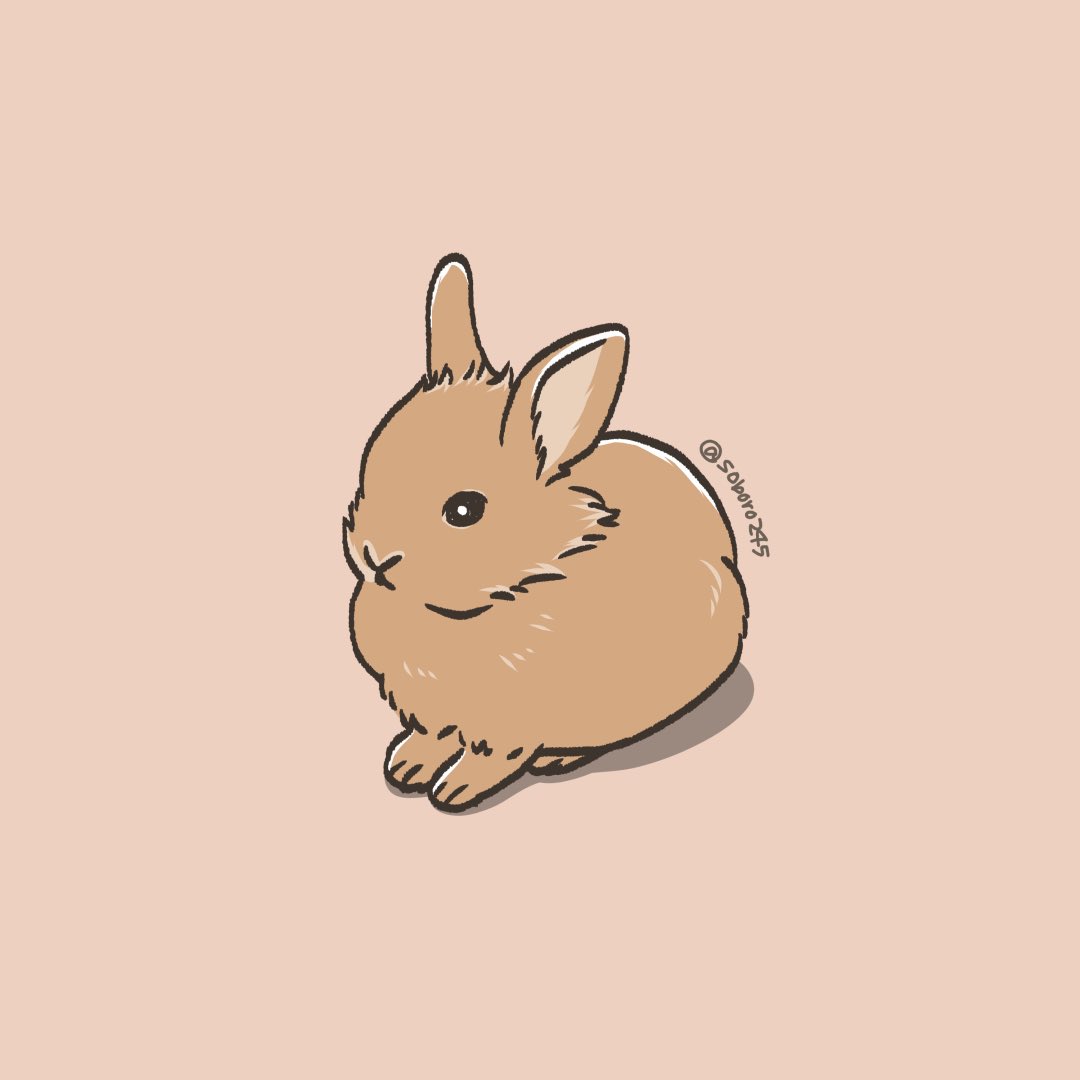 soboro245's tweet photo. そぼろ初日の様子✍️
ちまっとしてて可愛いけど構いすぎないようにそっと見守ってたなぁ|ω･`) https://t.co/IHGhOQpVug