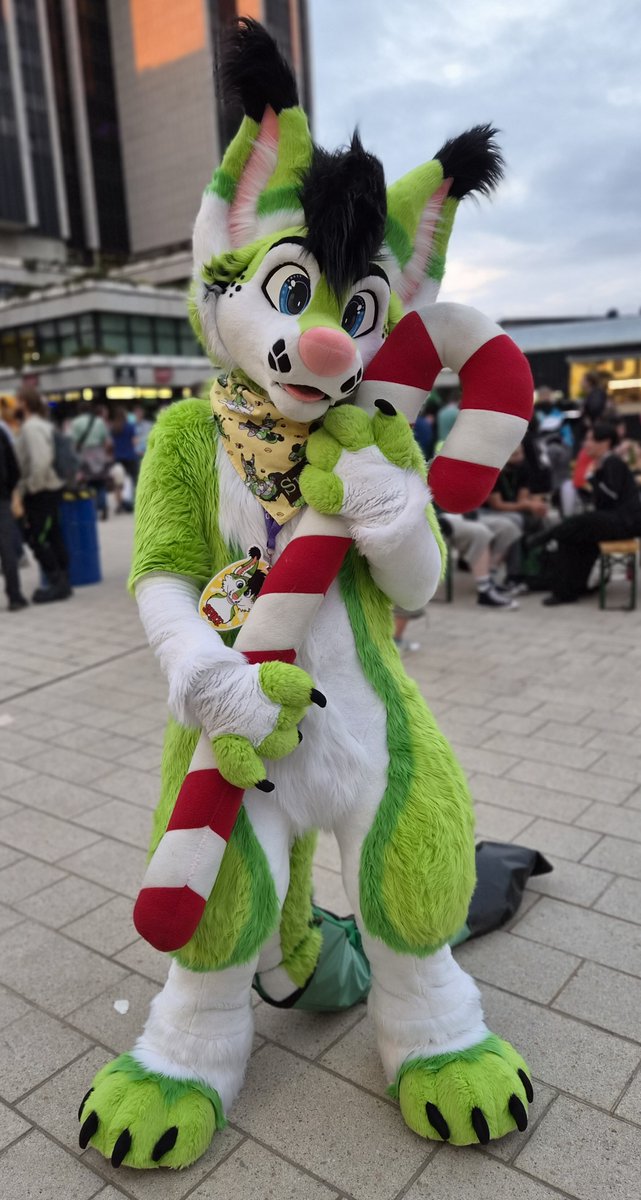 SDrachentaenzer's tweet photo. Hey everyone! You may noticed i didnt post so frequently in the past months. I want to be more active around here so hopefully you will see more of this green dragondog in your feed 💚 Happy #fursuitfriday!

🧵 @Fionka_Fursuits 
📸 Stölpi https://t.co/ynXnb7YdfB