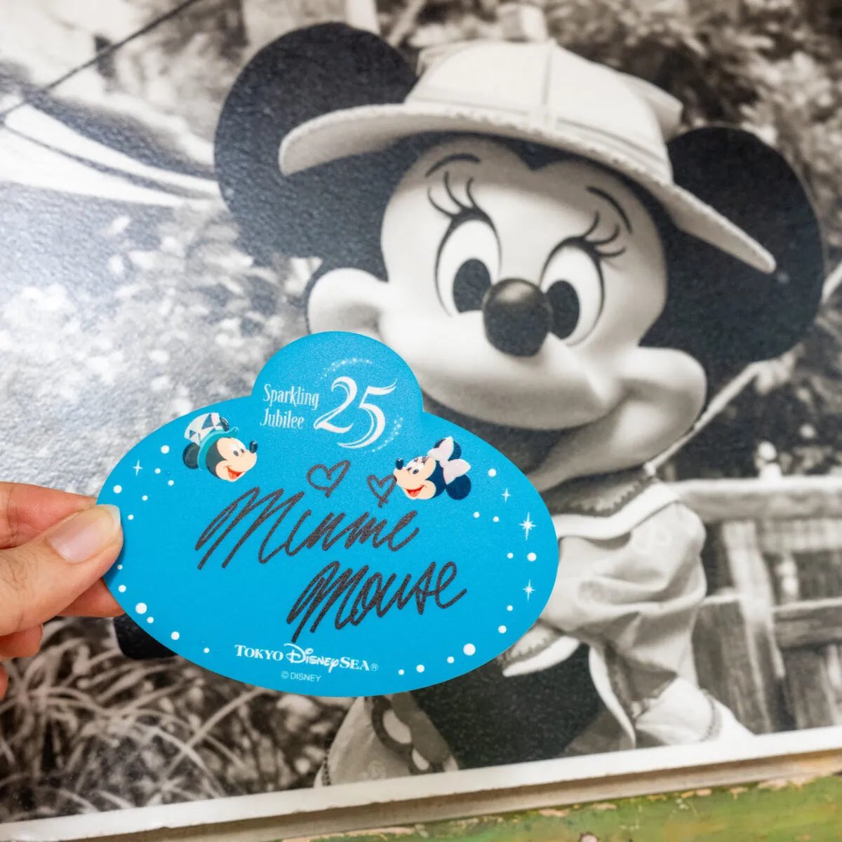 MezzoMikiD's tweet photo. 東京ディズニーシー25周年デザイン！
「アグラバーマーケットプレイス」
キャストネームタグモチーフバッジ新発売☆
https://t.co/0pHX38iCge https://t.co/CJ6wVVZ940