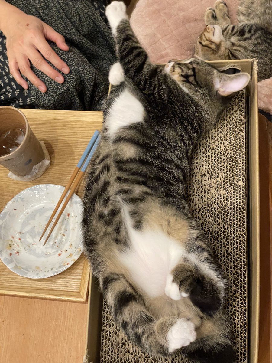 kakiage93 tweet picture
