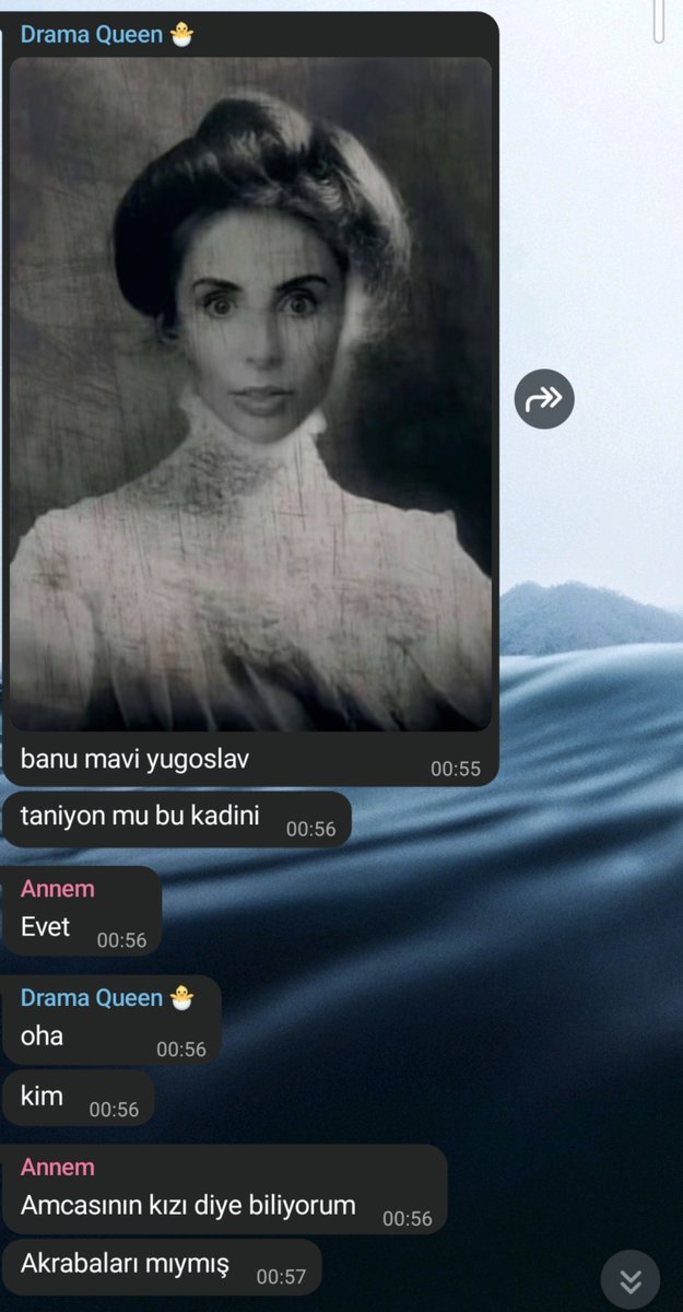 catofmayhem's tweet photo. masum djdjdjjejdj @gunlugumsanirim https://t.co/b2iraJBMMk