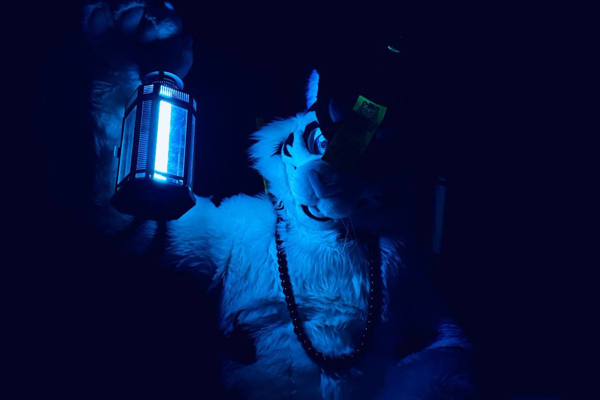 WhiteTigerTW's tweet photo. 光を追いかけて

📸：@Kevin_WY 
🪡：@BK_fursuit 
#FursuitFriday https://t.co/zjNFVOPCHw