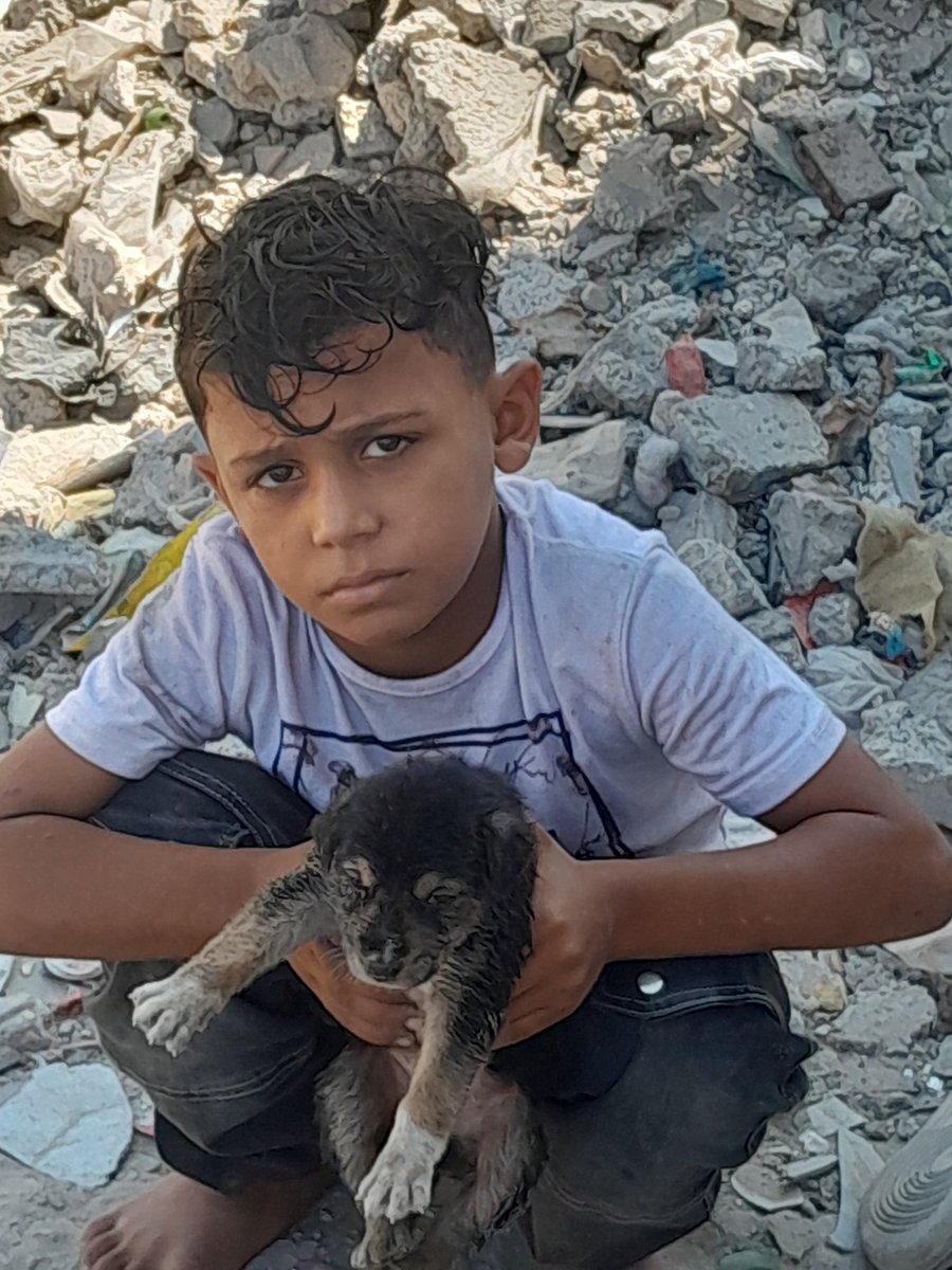 AhmedSalla45900's tweet photo. Behind every pile of rubble in Gaza, there may be a life waiting to be saved. 💔 This puppy was hungry and alone, so my son and I reached out to help. Please help us keep rescuing animals. 🐾🙏🇵🇸
PayPal: https://t.co/zXVeFBVIDW
#Gaza #SaveGaza #AnimalWelfare #HelpAnimals https://t.co/1PwITTezI9