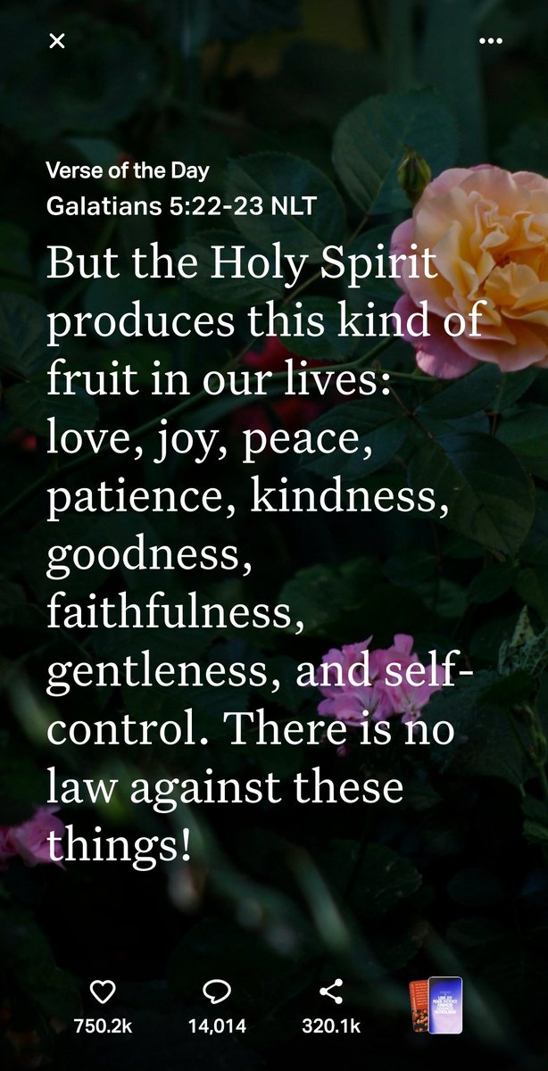SquidDaBeast's tweet photo. Happy Friday. I hope everyone has a safe and blessed day. Here's the verse and prayer of the day 🙏🏾👏🏾🙏🏾👏🏾 https://t.co/xBxns6IZLl