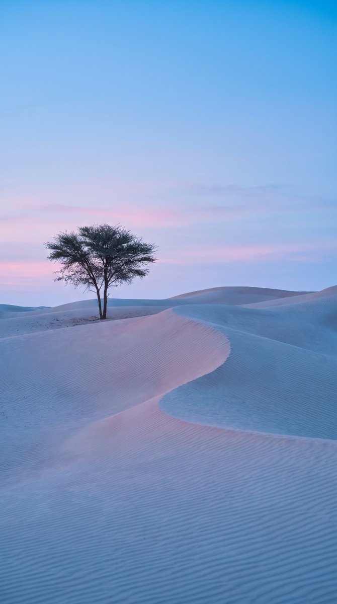 nature_motion's tweet photo. https://t.co/VVGglQ44Yo
