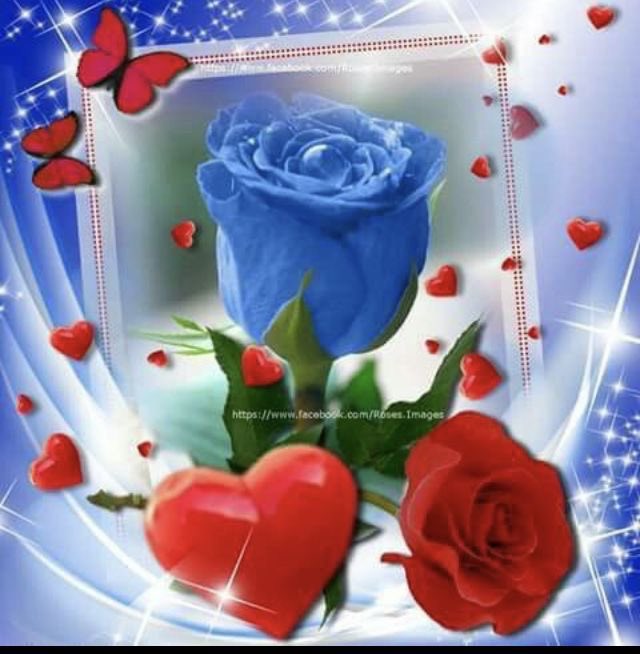 ALEXAND65002575's tweet photo. @DoThuNguyet1971 https://t.co/ofFOe7PF3W